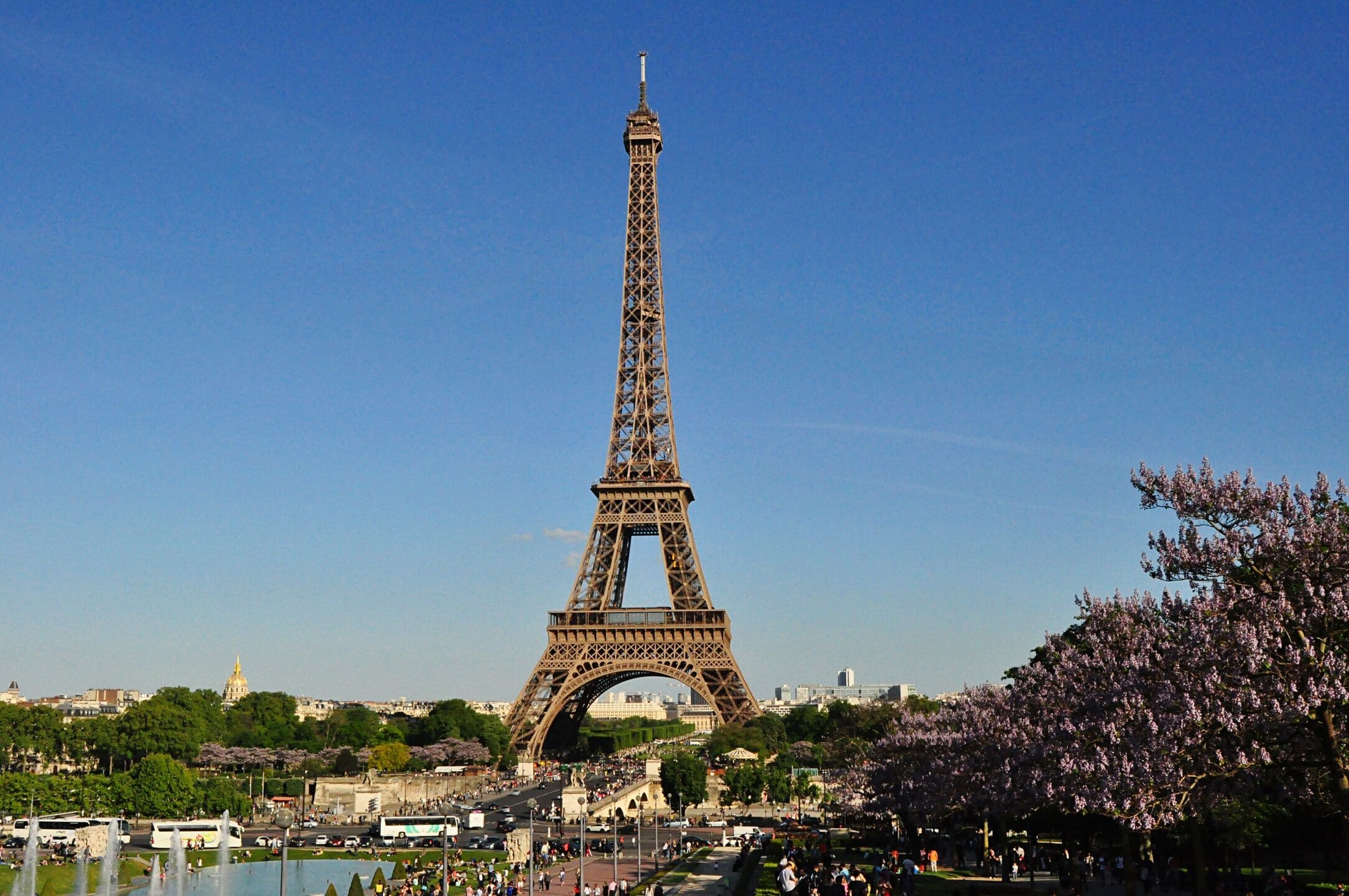 Study in France
